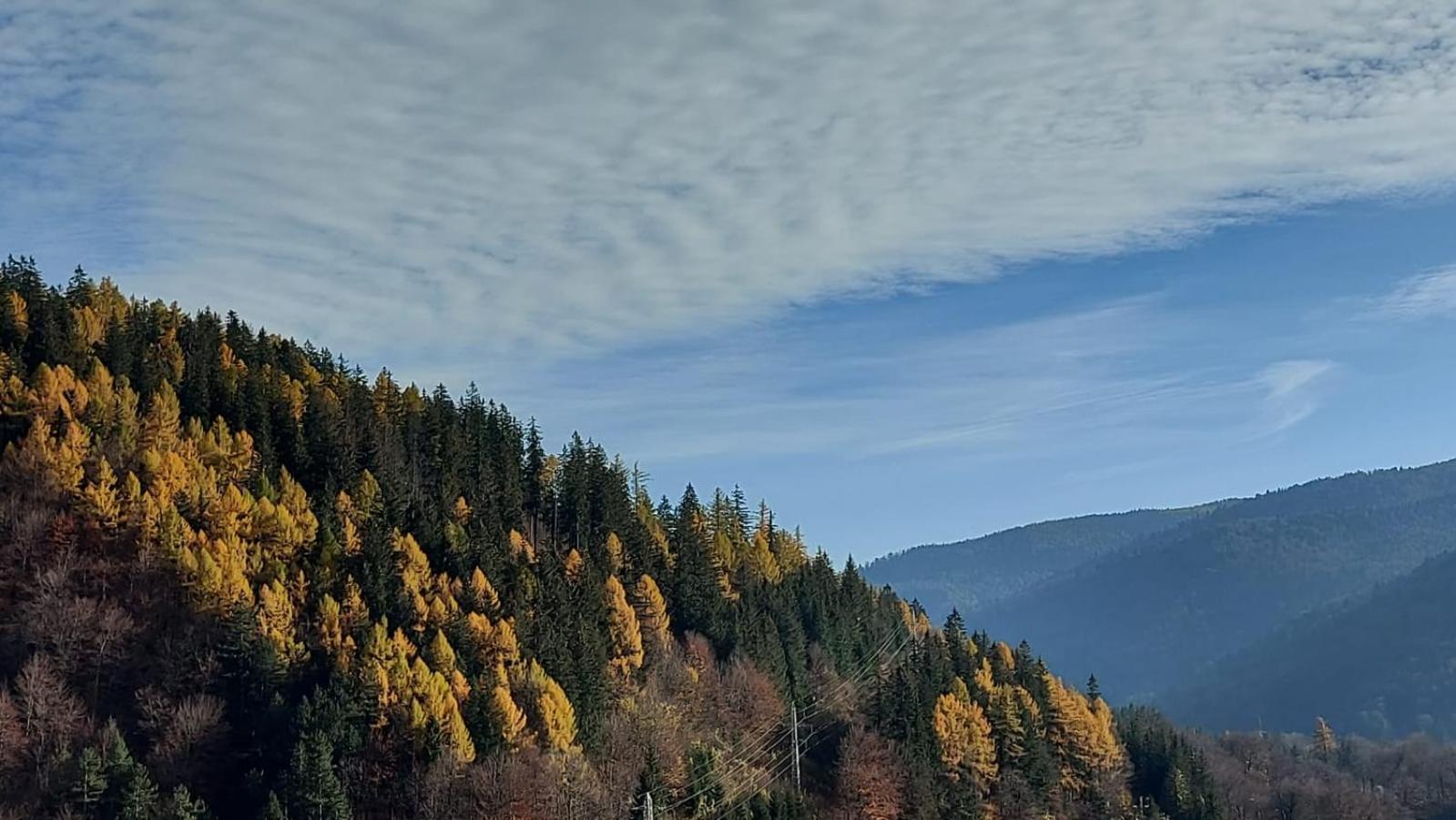Rai Apartament Sinaia Eksteriør bilde