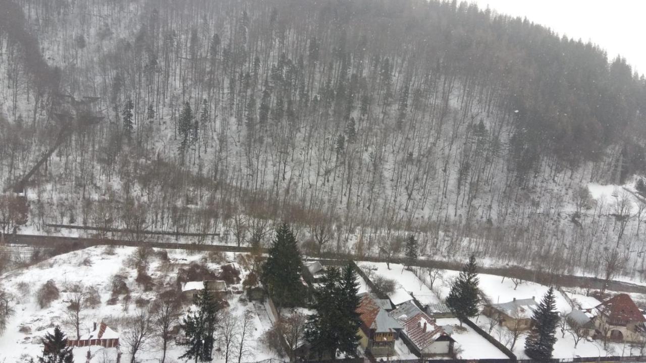 Rai Apartament Sinaia Eksteriør bilde