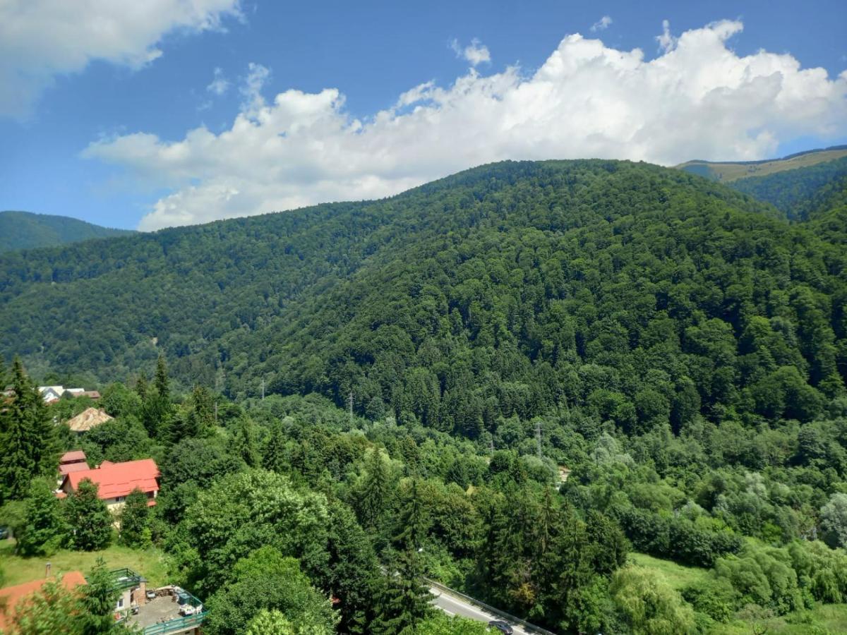 Rai Apartament Sinaia Eksteriør bilde